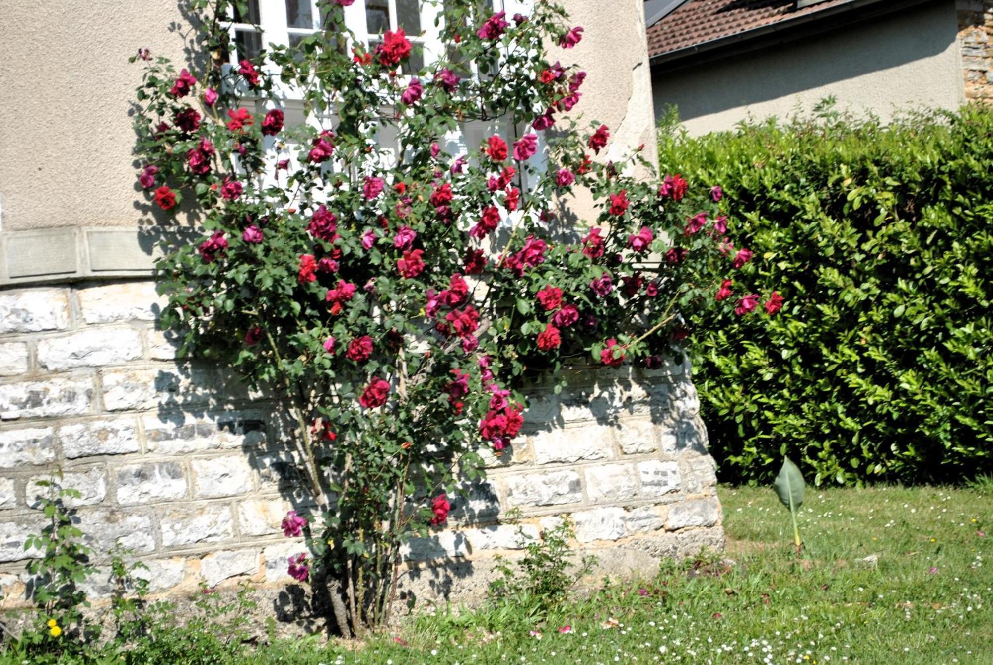 Villa Hortebise Salies-de-Bearn Exterior photo
